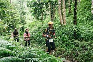 BIB: 
                            <button type="button" onclick="openModal(26373195)" class="btn btn-primary btn-sm float-right btn-popup" data-toggle="modal" data-target=".modal-high-quality">
                        <i class="fas fa-shopping-cart"></i> Add to Cart
                    </button>
                                            <button type="button" onclick="isThisMe(26373195, true)" class="btn btn-success btn-sm float-right btn-popup btn-isme hidden" data-toggle="tooltip" data-placement="bottom" title="นี่คือรูปของคุณใช่ไหม คลิกที่นี่เพื่อเอาเข้าอัลบั้ม">
                        <i class="fas fa-plus"></i> Add to album
                    </button>
                    <button type="button" onclick="isThisMe(26373195, false)" class="btn btn-warning btn-sm float-right btn-popup btn-isnotme hidden">
                        <i class="fas fa-ban"></i> Remove from album
                    </button>